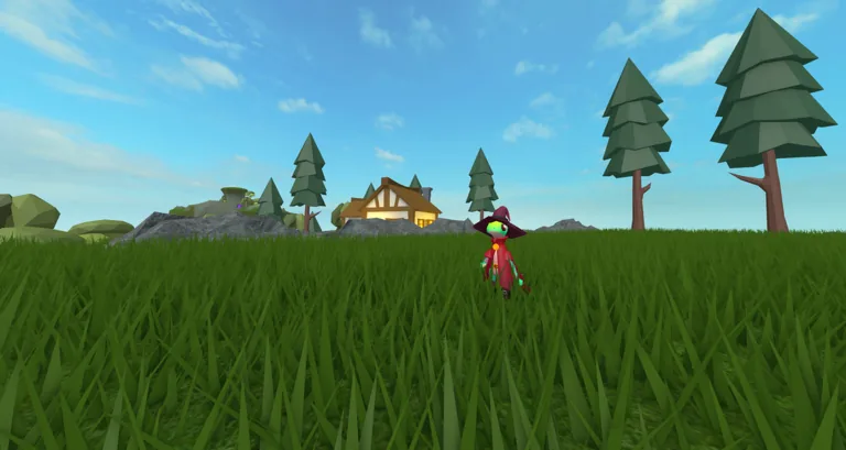 Wizard avatar in tall grass with pines and a cottage